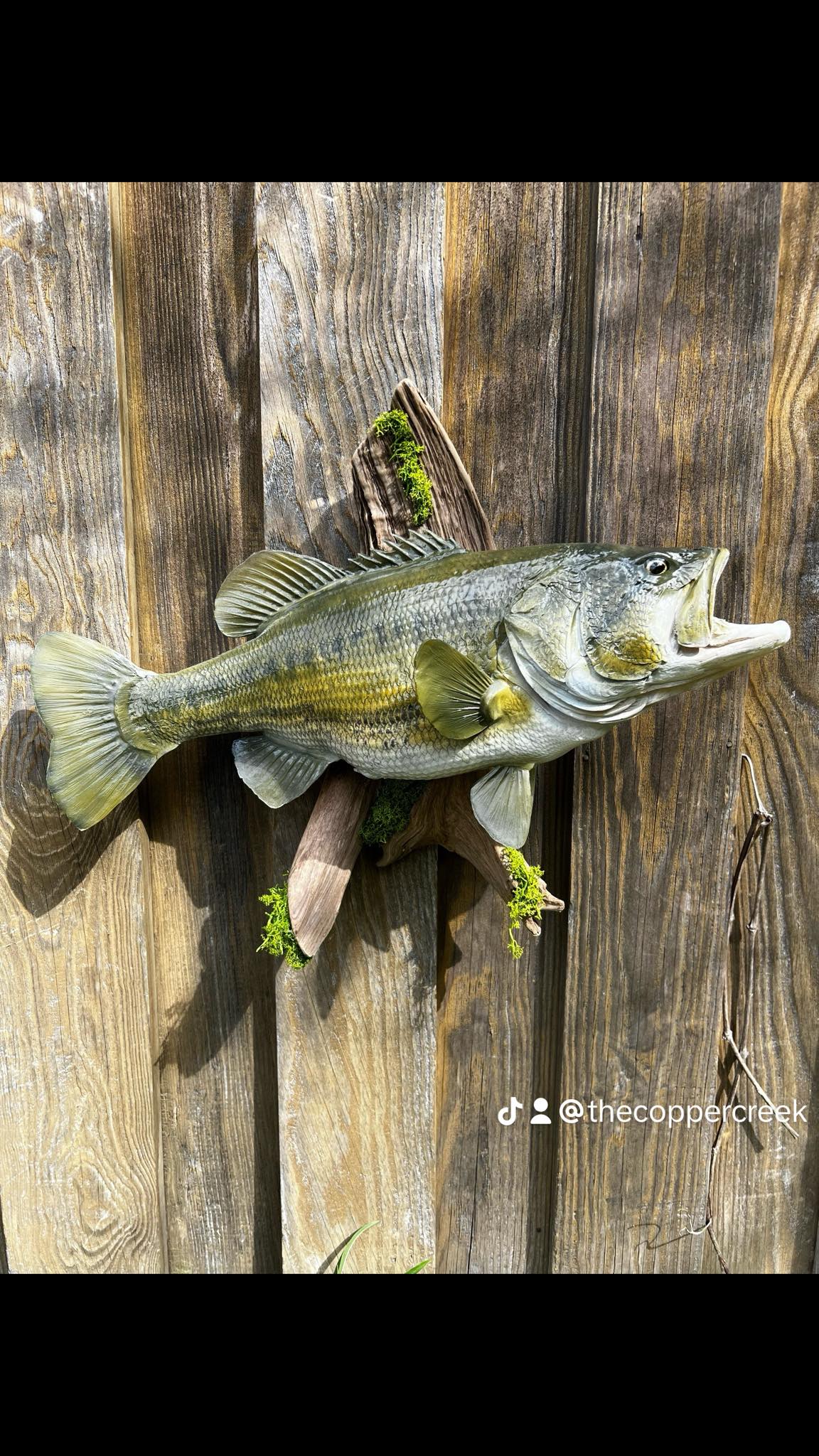 Large Mouth Bass Replica